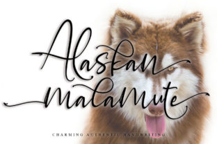 Alaskan Malamute Font for Campaign Design