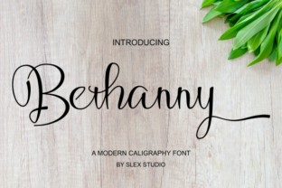 Bethanny: A Handwritten Font for Modern Web Design