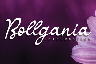 Bollgania Font Review for Brand Designers