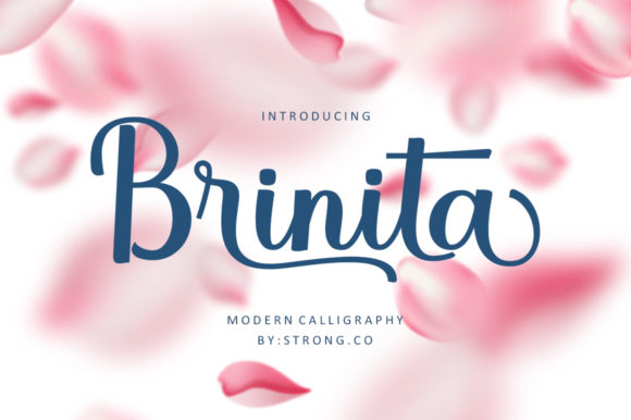 Brinita Font for Elegant Craft Designs