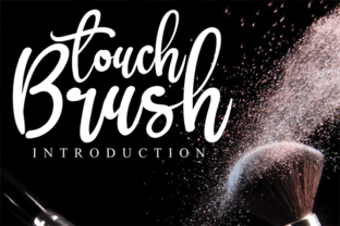 Brush Touch Font for Elegant Branding