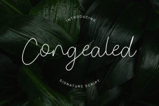 Congealed Font Download: A Modern Script for Designers