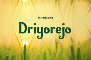 Driyorejo: A Playful Script Handwritten Font for Makers