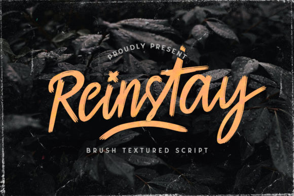 Reinstay Font: Textured Brush Style for Makers